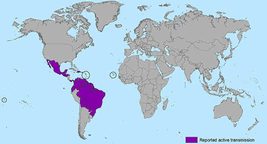 Area affected by Zika Virus